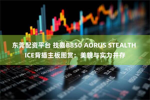 東莞配資平臺(tái) 技嘉B850 AORUS STEALTH ICE背插主板圖賞：美貌與實(shí)力并存