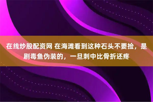 在線炒股配資網(wǎng) 在海灘看到這種石頭不要撿，是劇毒魚偽裝的，一旦刺中比骨折還疼